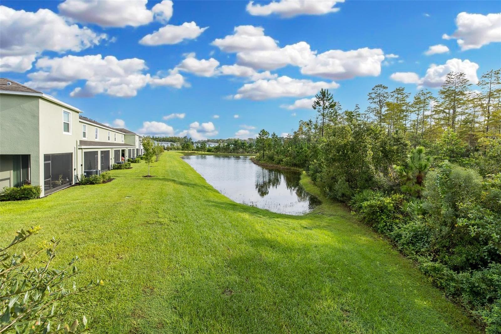 Gorgeous Backyard Conservation View - 11166 CRESCENT DEER DR, LAND O LAKES