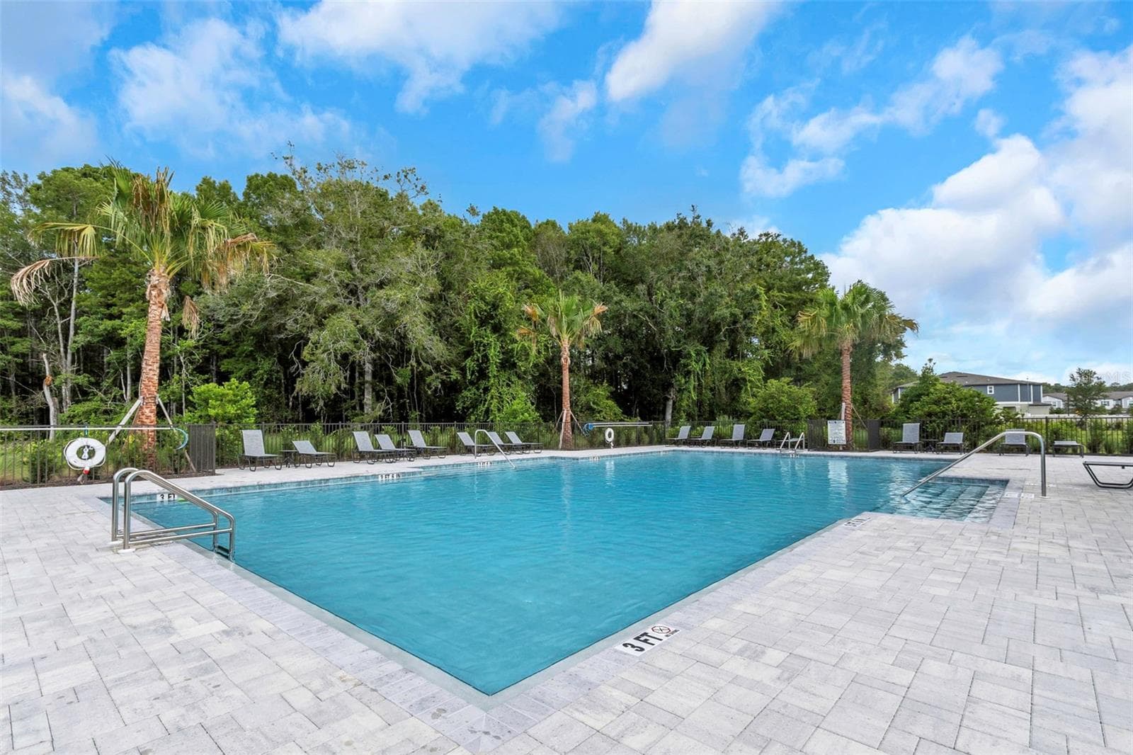 Community Pool - 11166 CRESCENT DEER DR, LAND O LAKES