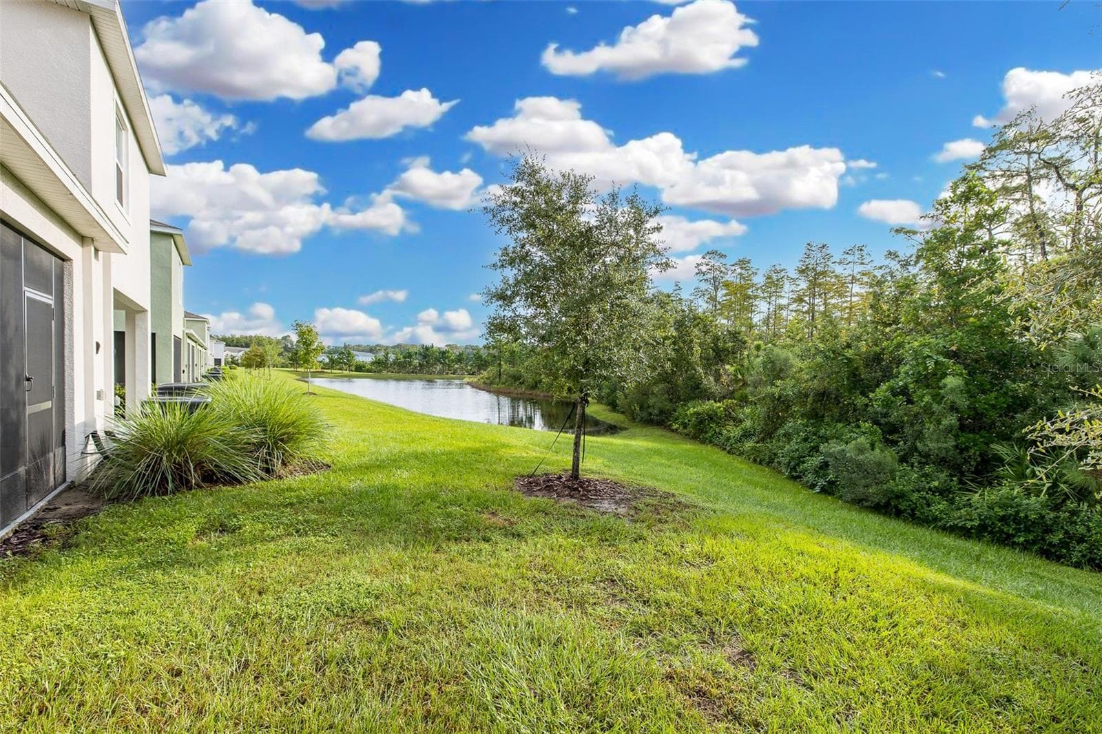 Nature at it's finest! - 11166 CRESCENT DEER DR, LAND O LAKES