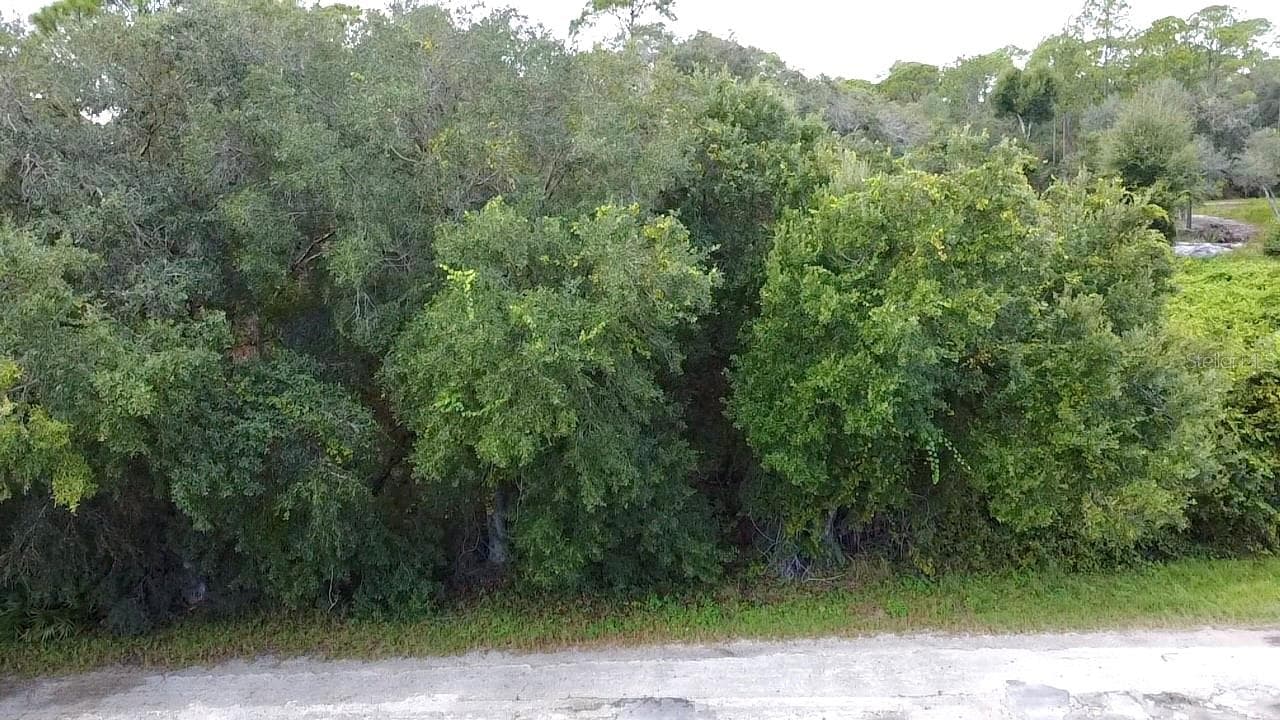 Land at 1030 REDBIRD ST, LAKE PLACID, photo 2 of 12