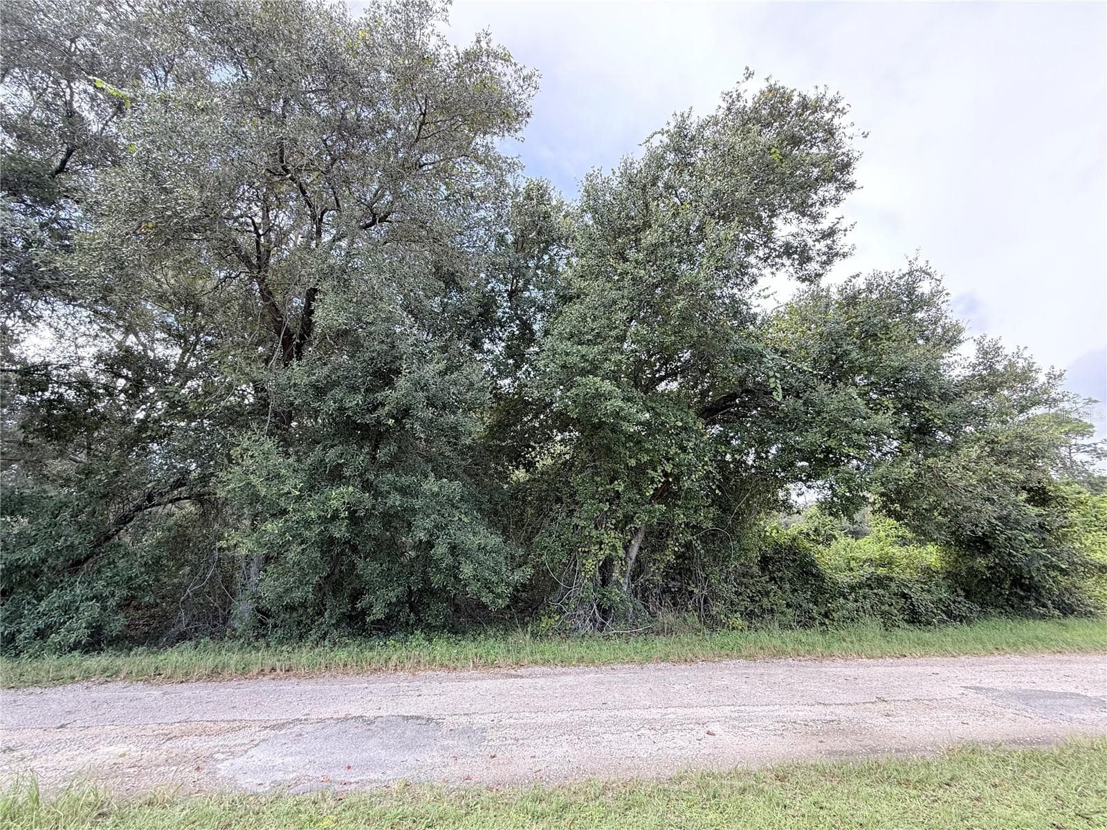 Land at 1030 REDBIRD ST, LAKE PLACID, photo 4 of 12