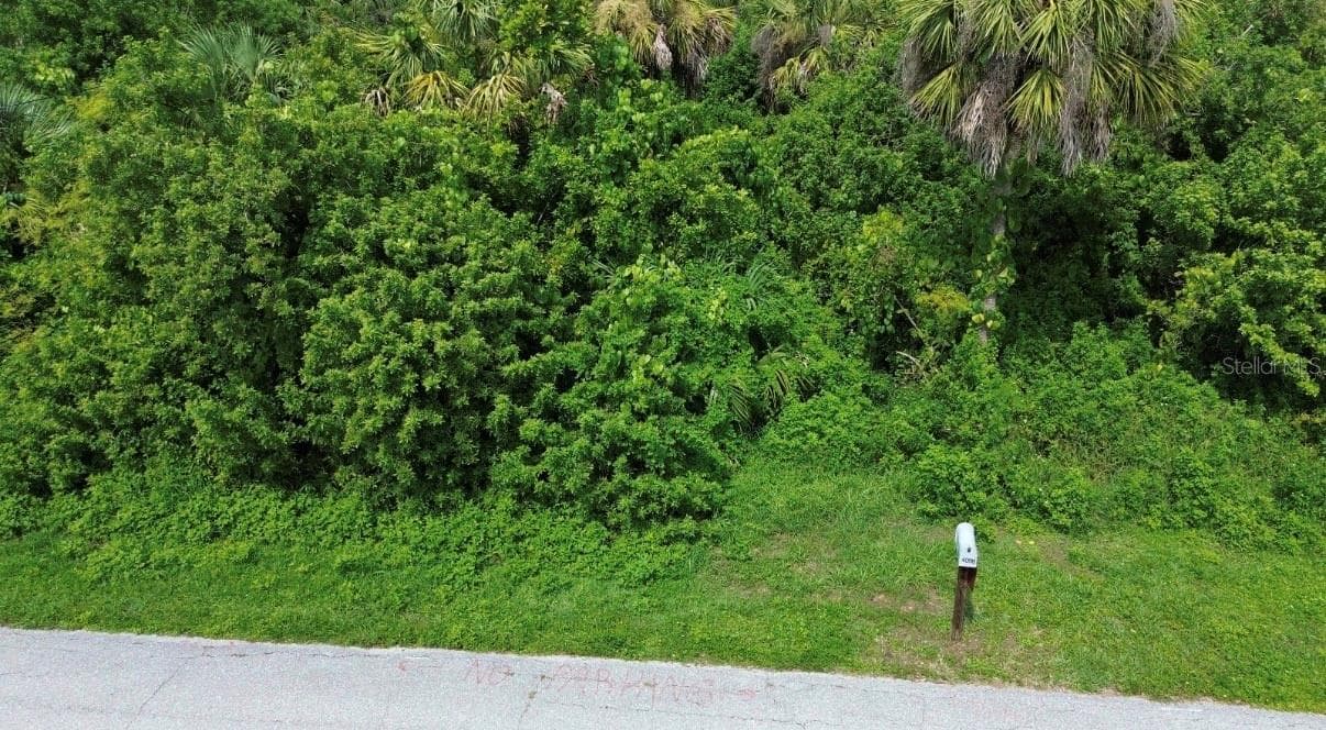 Land at 4099 DOTHAM ST, PORT CHARLOTTE, photo 2 of 11