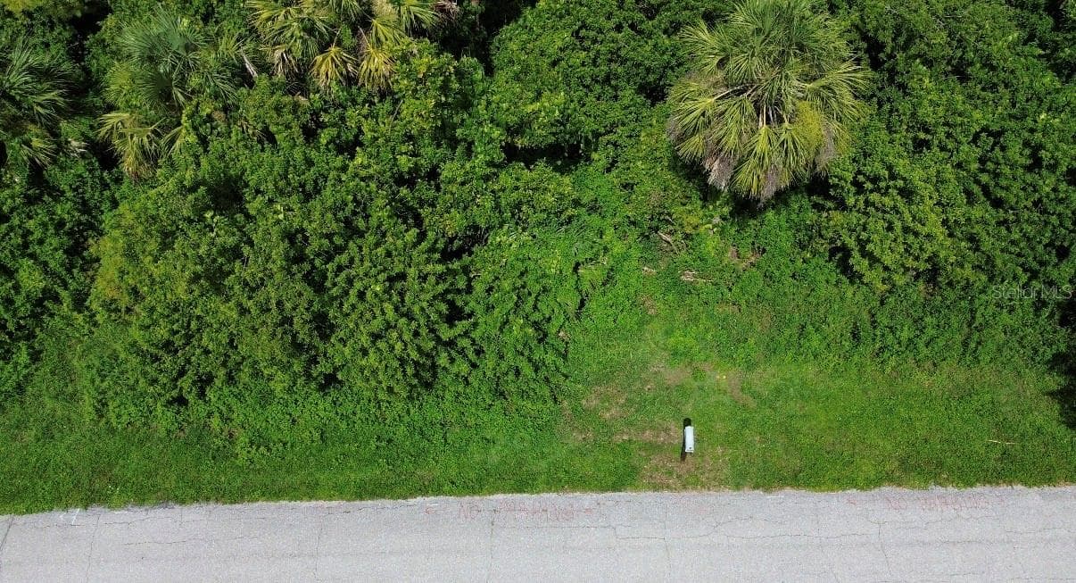 Land at 4099 DOTHAM ST, PORT CHARLOTTE, photo 5 of 11