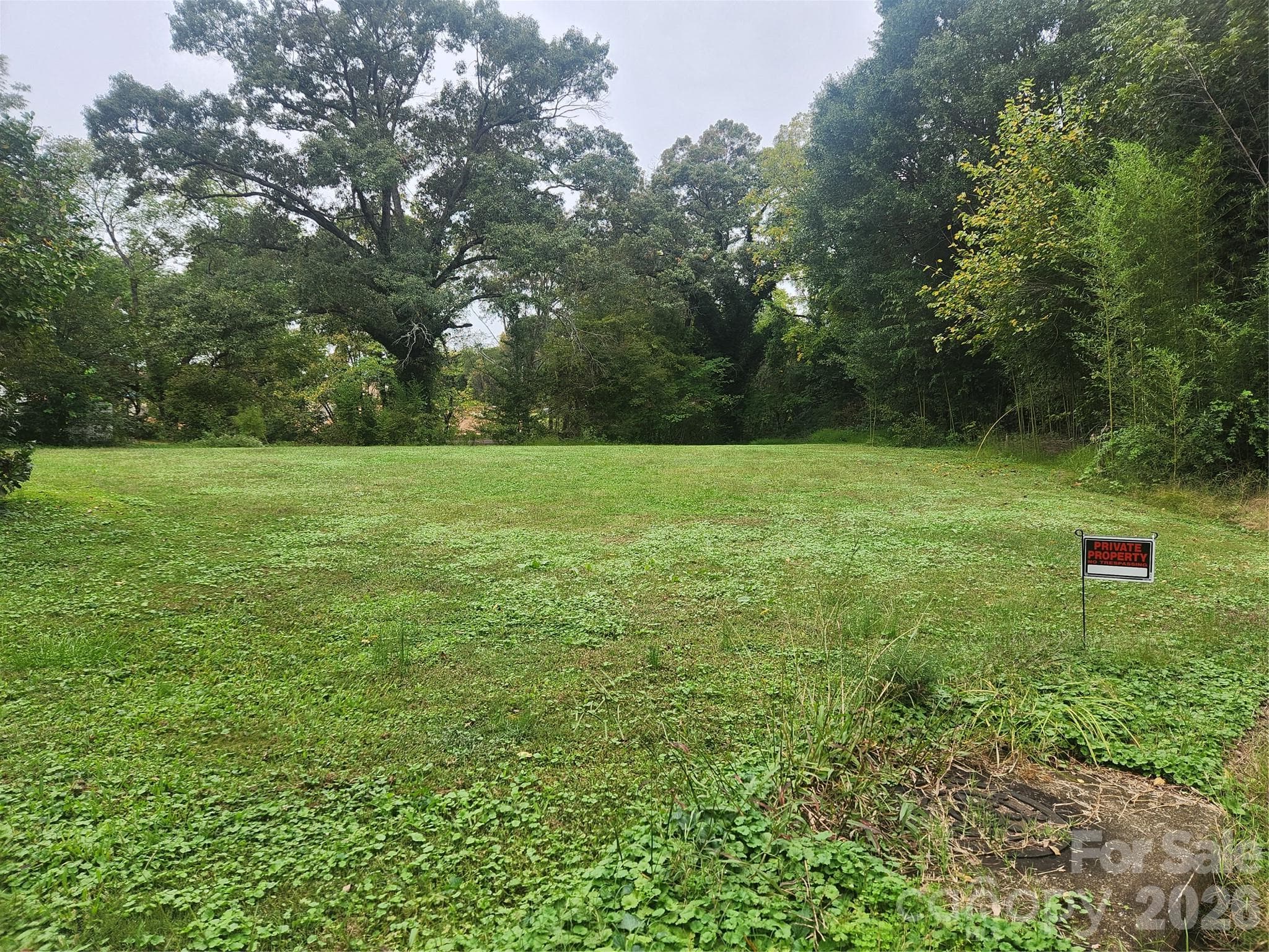 Vacant Lot-goes beyond the tree line - 1327 21st Street Street NE, Hickory