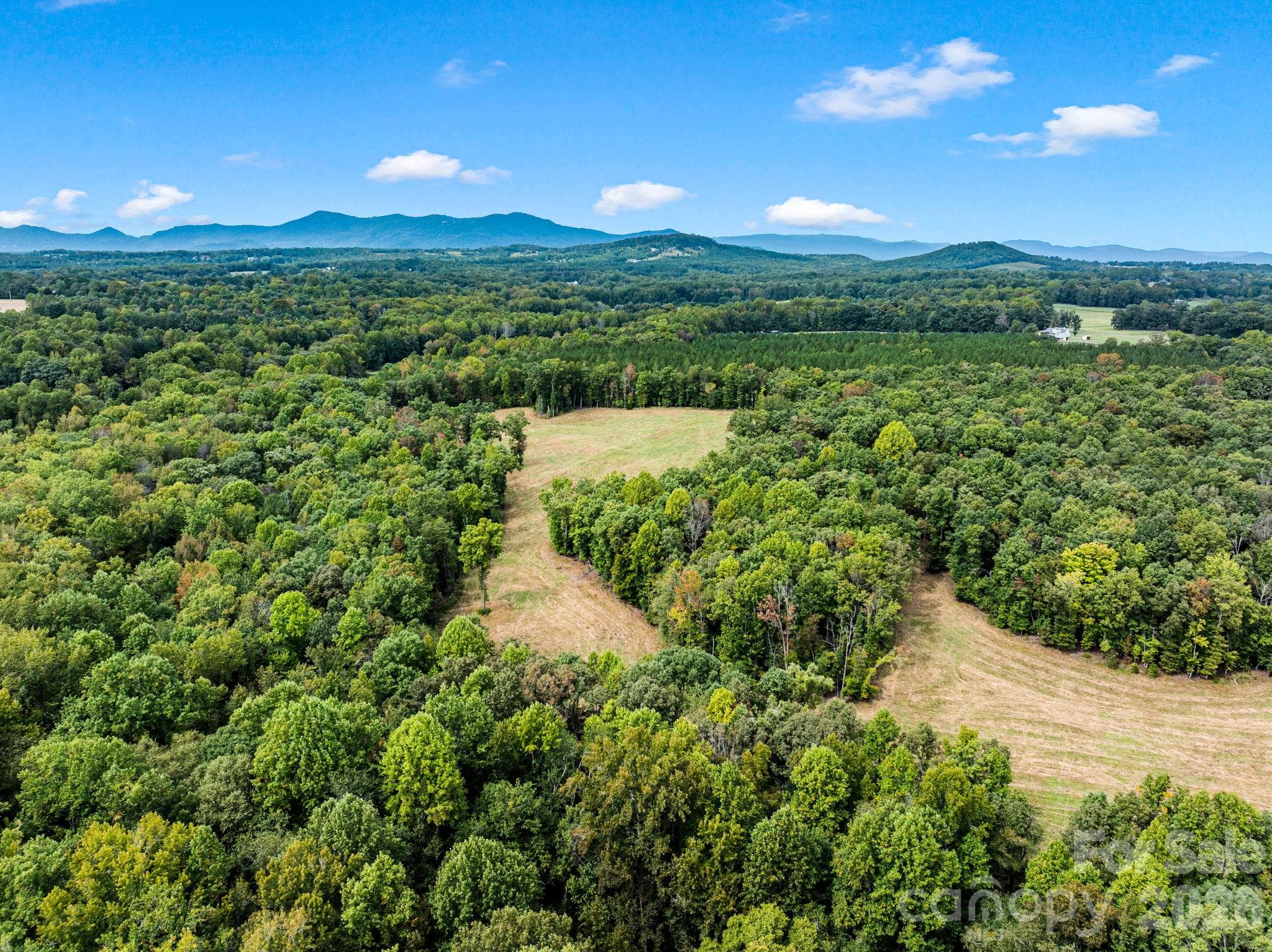 Acreage at TBD Collinsville Road, Columbus, photo 12 of 20