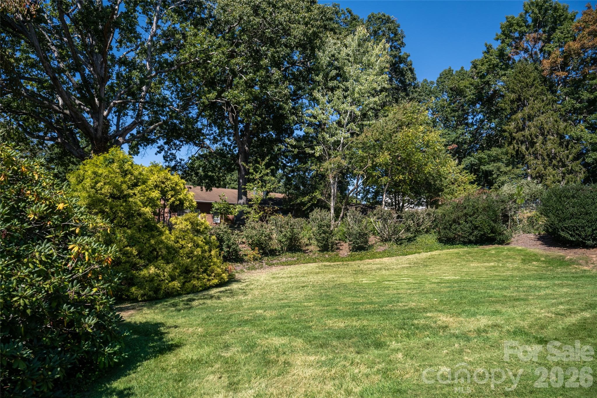 Backyard - 23 Wagon Road, Asheville