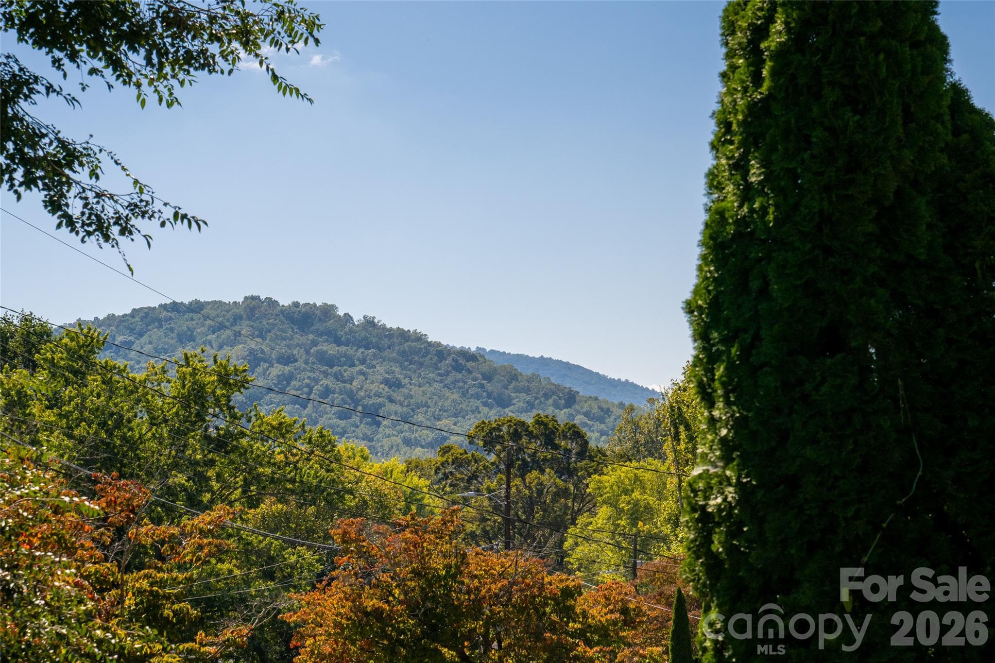 Mountain view from front porch - 23 Wagon Road, Asheville