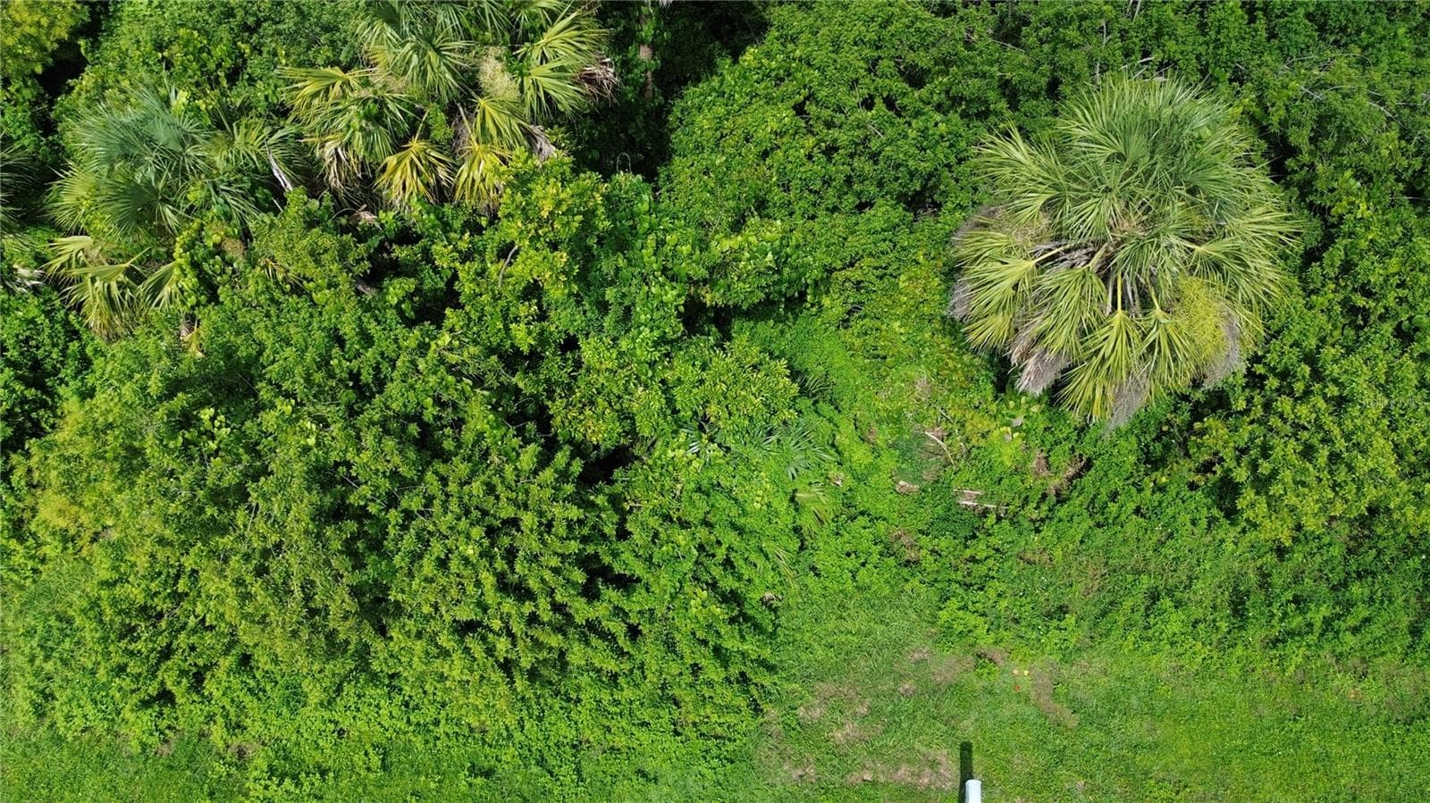 Land at 4099 DOTHAM ST, PORT CHARLOTTE, photo 10 of 11