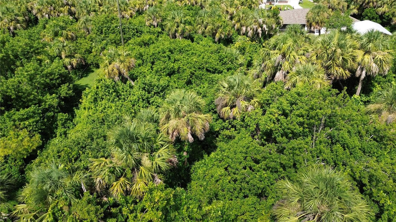 Land at 4099 DOTHAM ST, PORT CHARLOTTE, photo 11 of 11