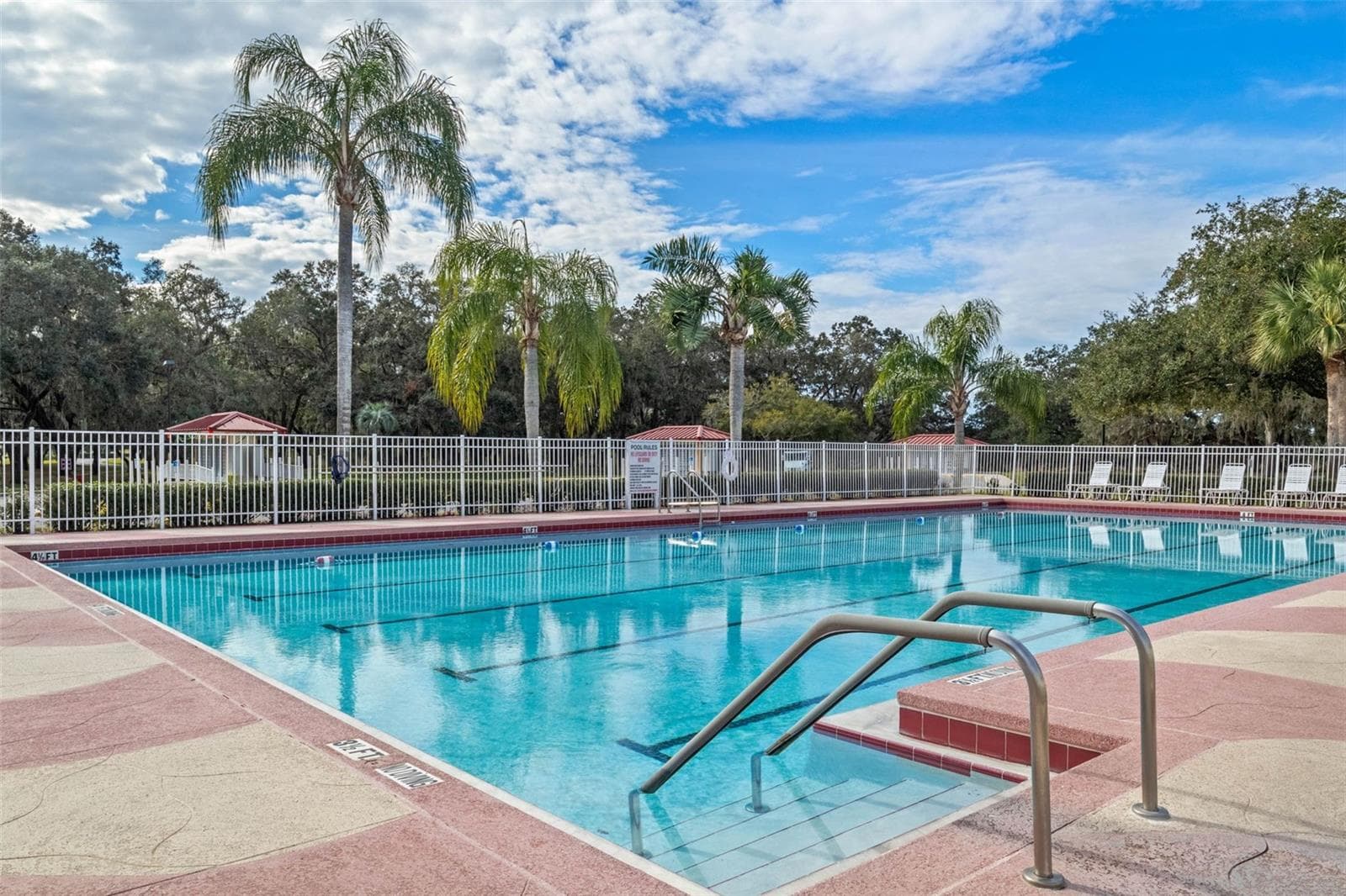 Outdoor Pool - 26162 NEWCOMBE CIR, LEESBURG