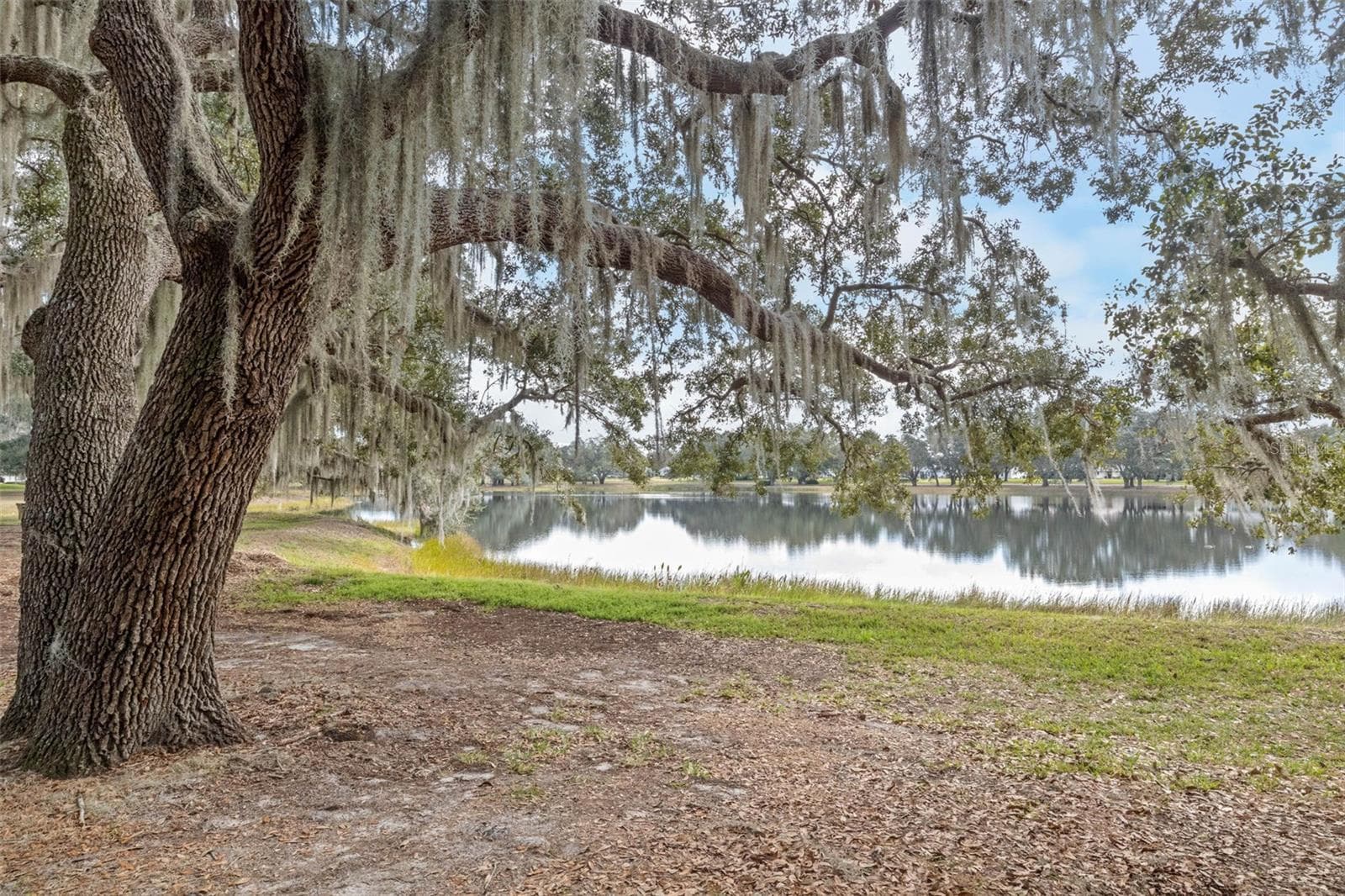 What a view of Lake Evert! - 26162 NEWCOMBE CIR, LEESBURG