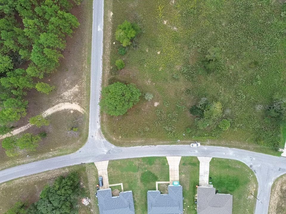 Land at TBD MALAUKA RUN, OCKLAWAHA, photo 2 of 3