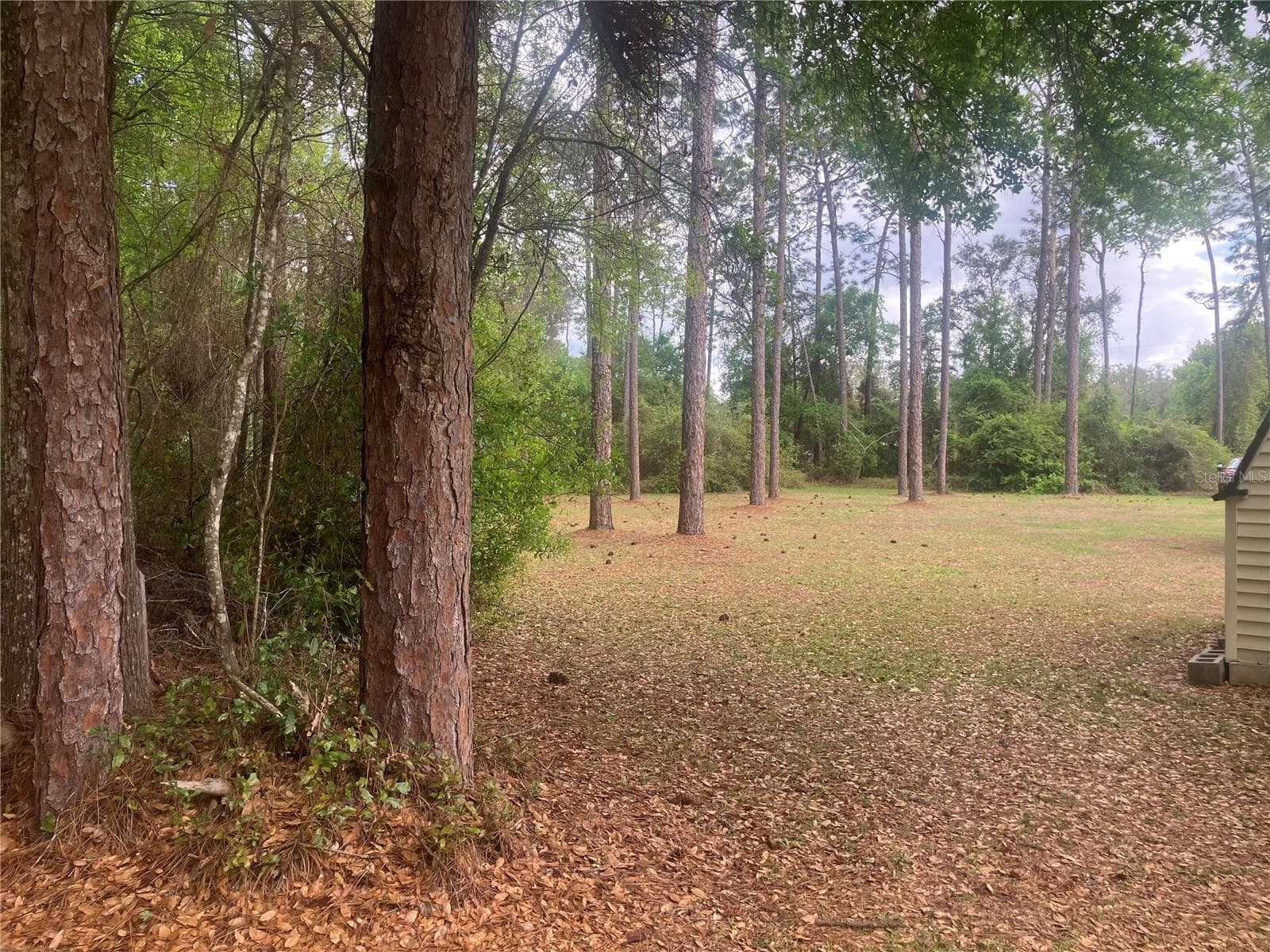 Land at SE 19TH PL, SILVER SPRINGS, photo 2 of 11