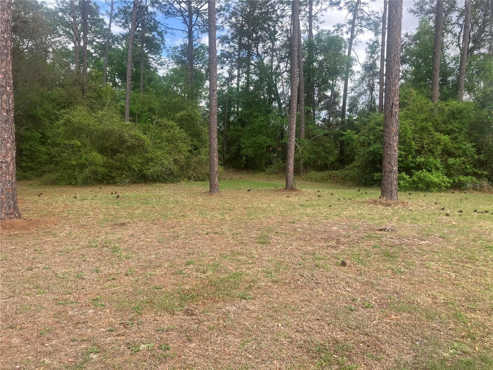 Land at SE 19TH PL, SILVER SPRINGS, photo 3 of 11