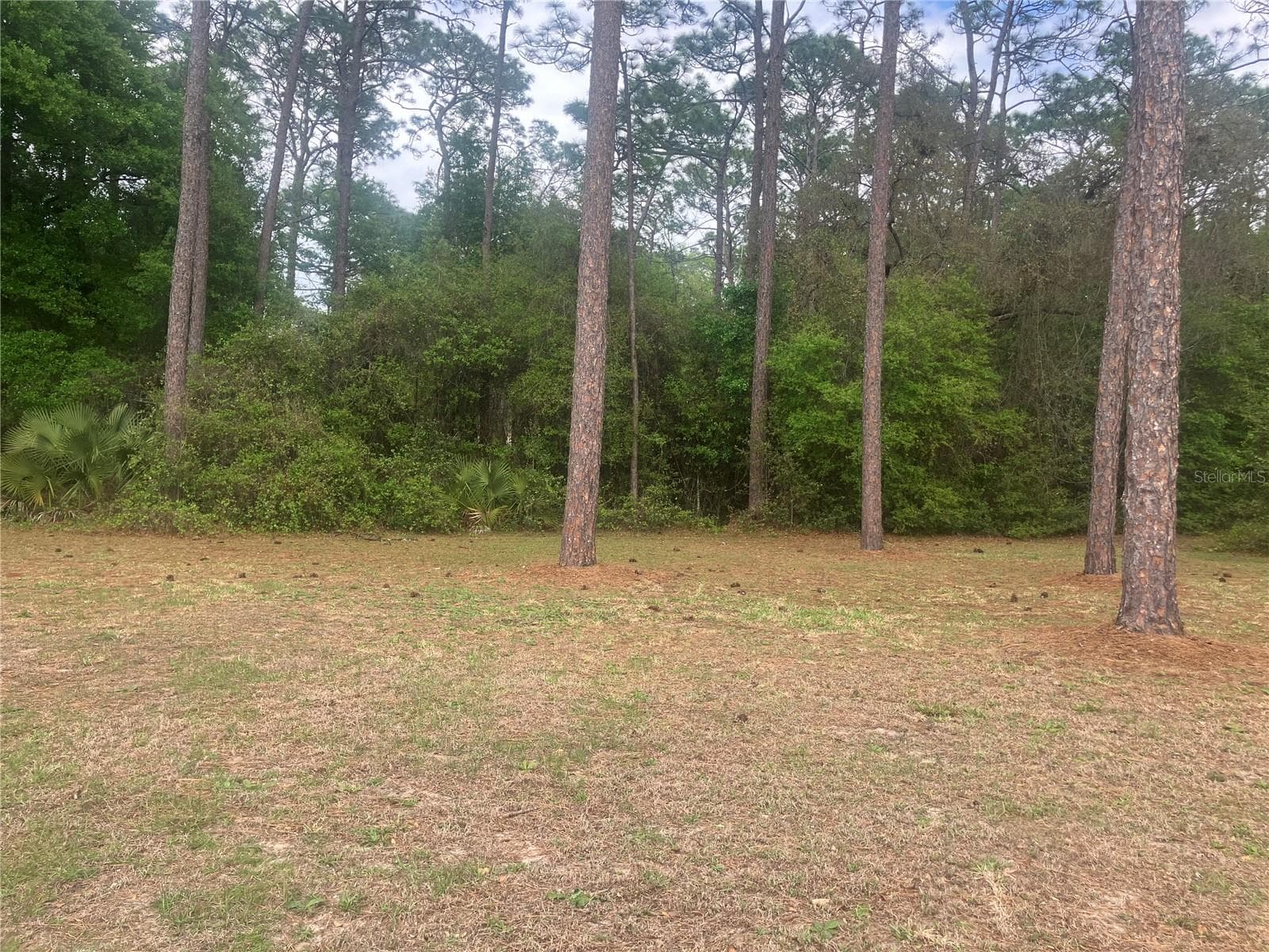 Land at SE 19TH PL, SILVER SPRINGS, photo 4 of 11