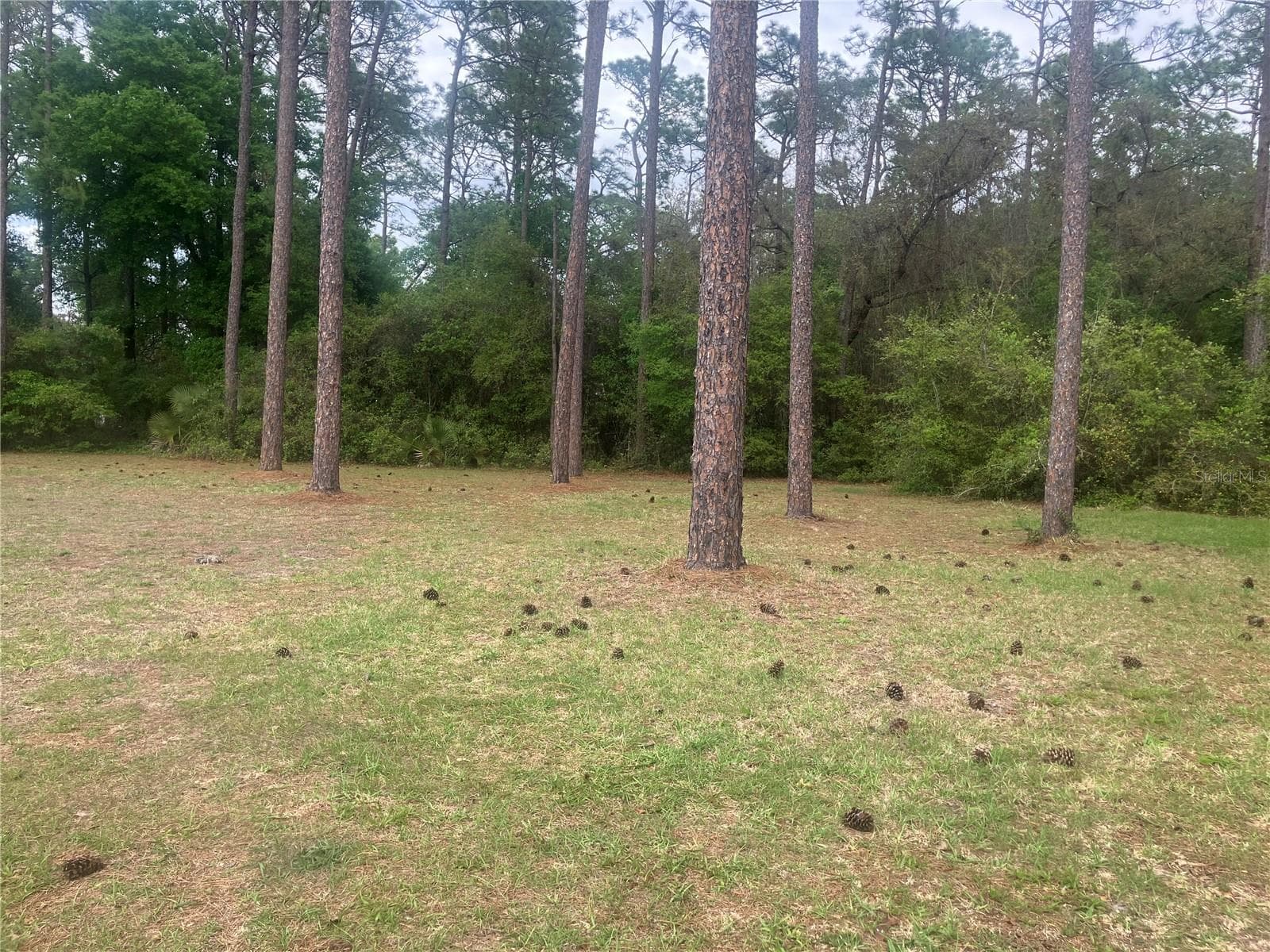 Land at SE 19TH PL, SILVER SPRINGS, photo 5 of 11
