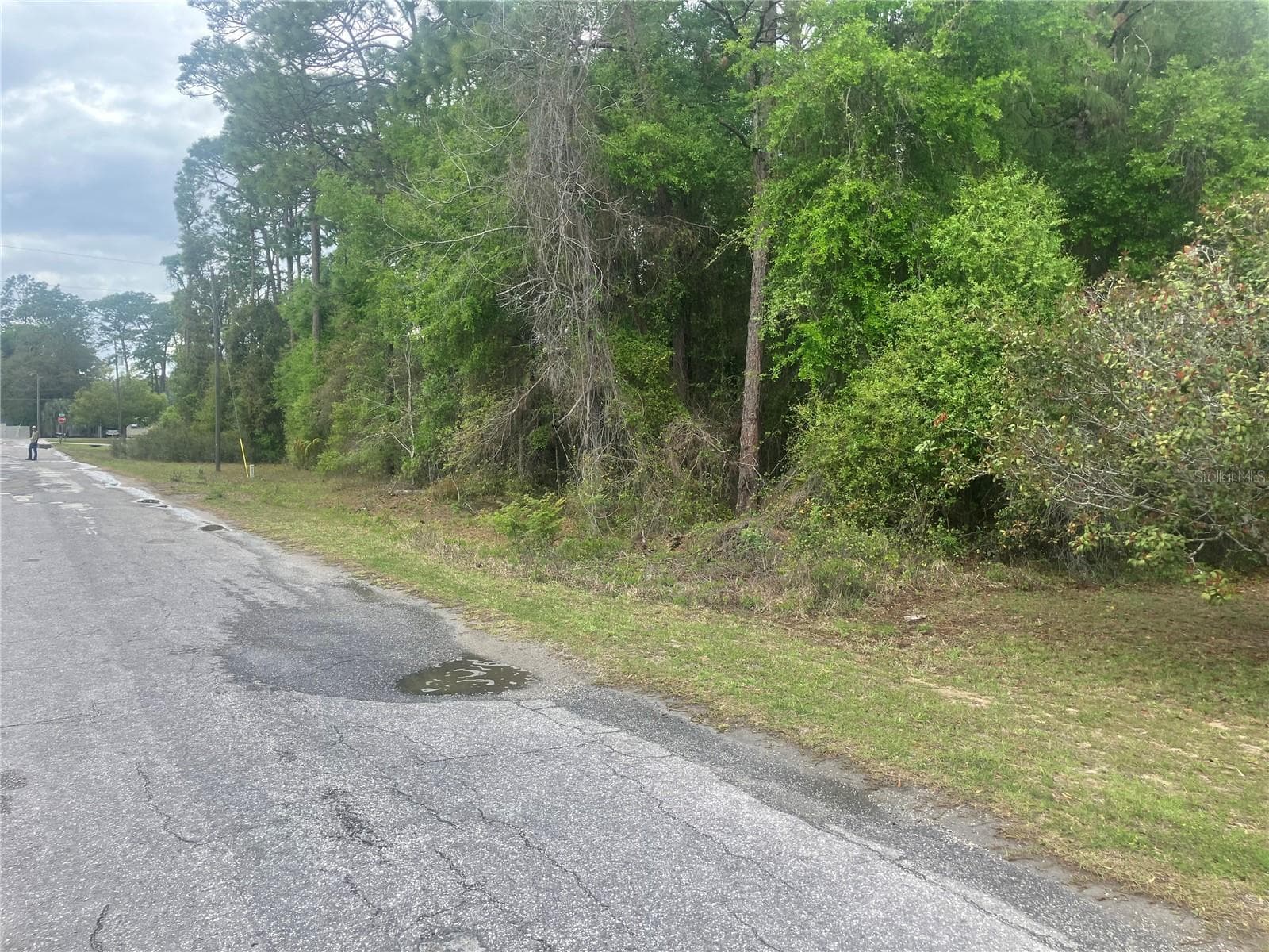 Land at SE 19TH PL, SILVER SPRINGS, photo 7 of 11
