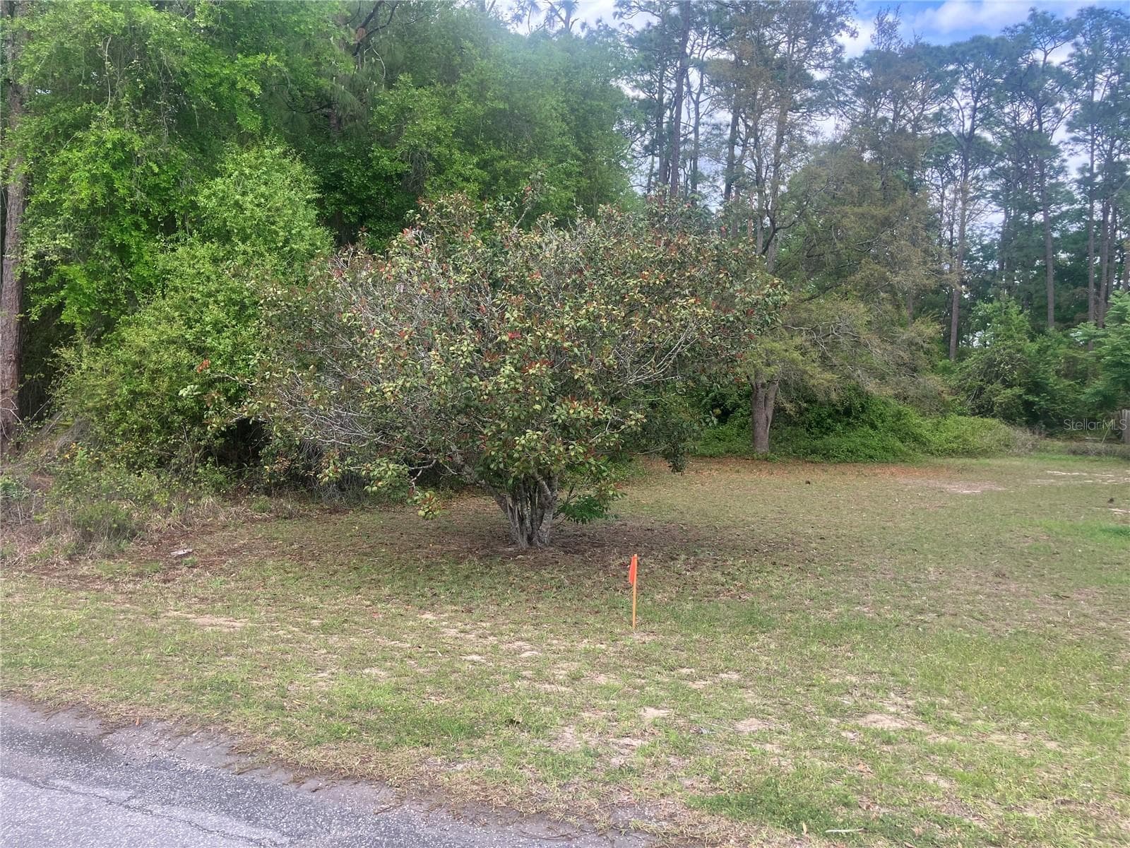 Land at SE 19TH PL, SILVER SPRINGS, photo 8 of 11