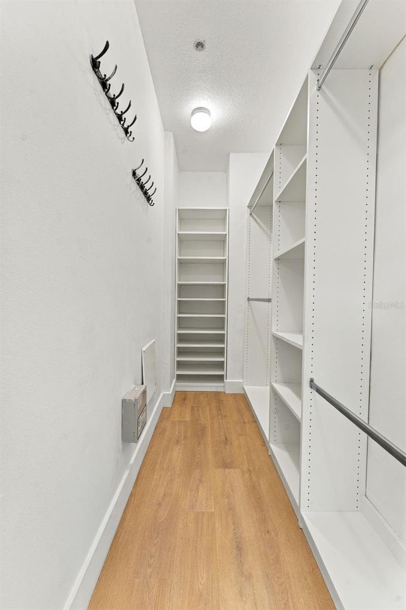 Primary walk-in closet - 3121 BAYSHORE OAKS DR, TAMPA