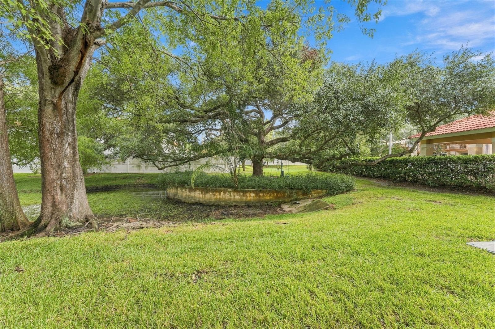 View from downstairs patio - 3121 BAYSHORE OAKS DR, TAMPA