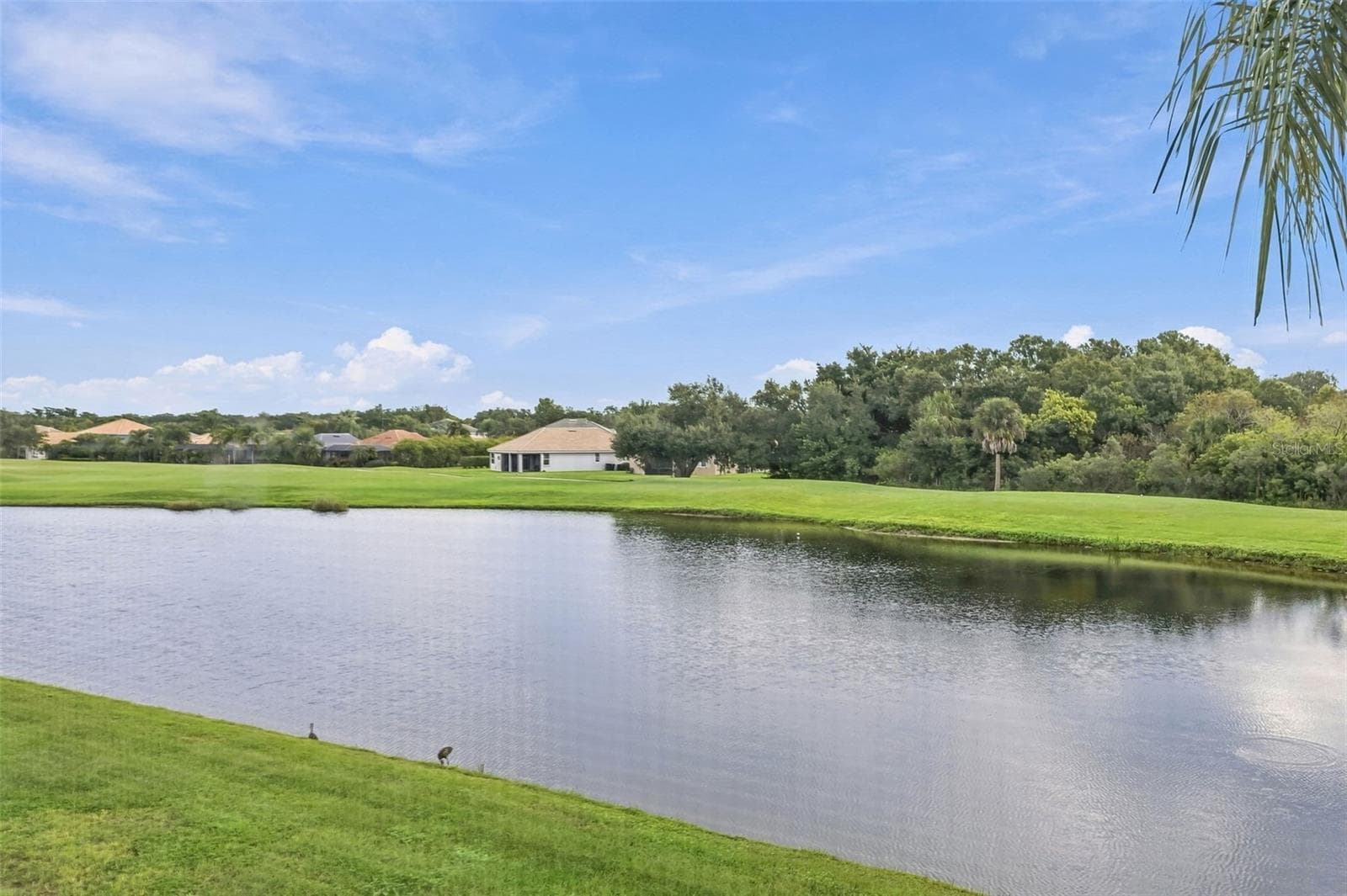Condominium at 1003 FAIRWAYCOVE LN #207, BRADENTON, photo 6 of 45