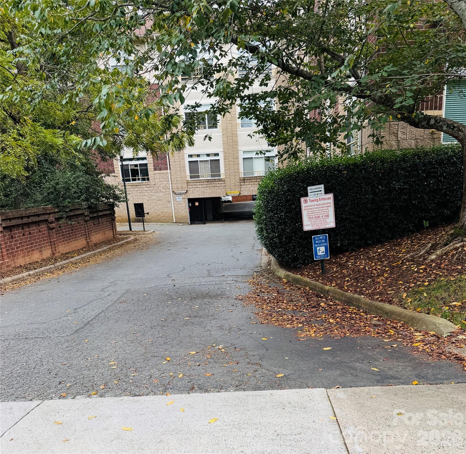 Entrance to parking from Laurel Ave - 404 Laurel Avenue, Charlotte