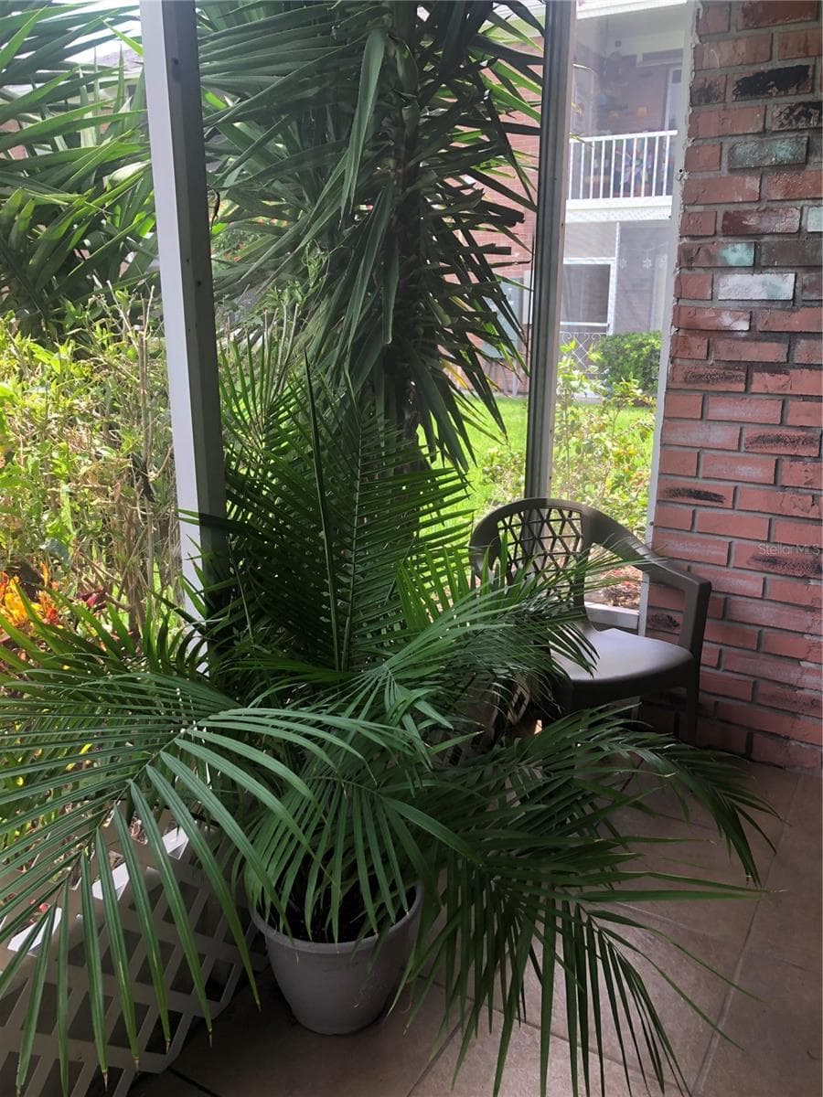 Condominium at 3580 38TH AVE S #94, ST PETERSBURG, photo 14 of 14