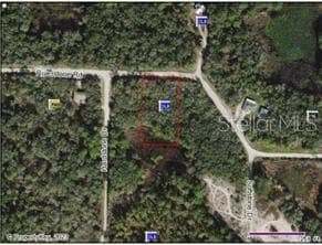 Aerial View - 0 RIVERSTONE ST #Hernando, WEBSTER