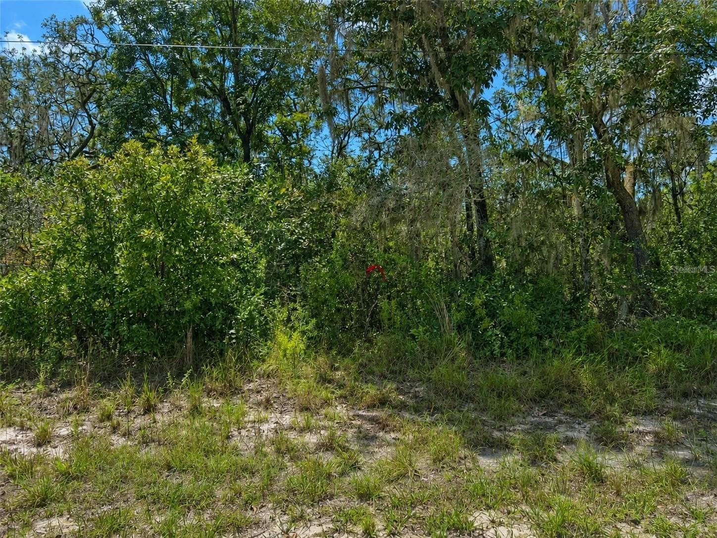 Front View - 0 RIVERSTONE ST #Hernando, WEBSTER