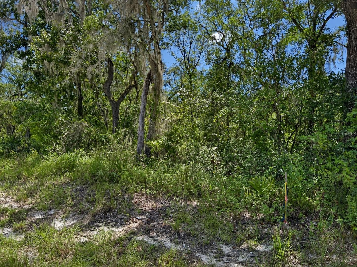 Front View - 0 RIVERSTONE ST #Hernando, WEBSTER