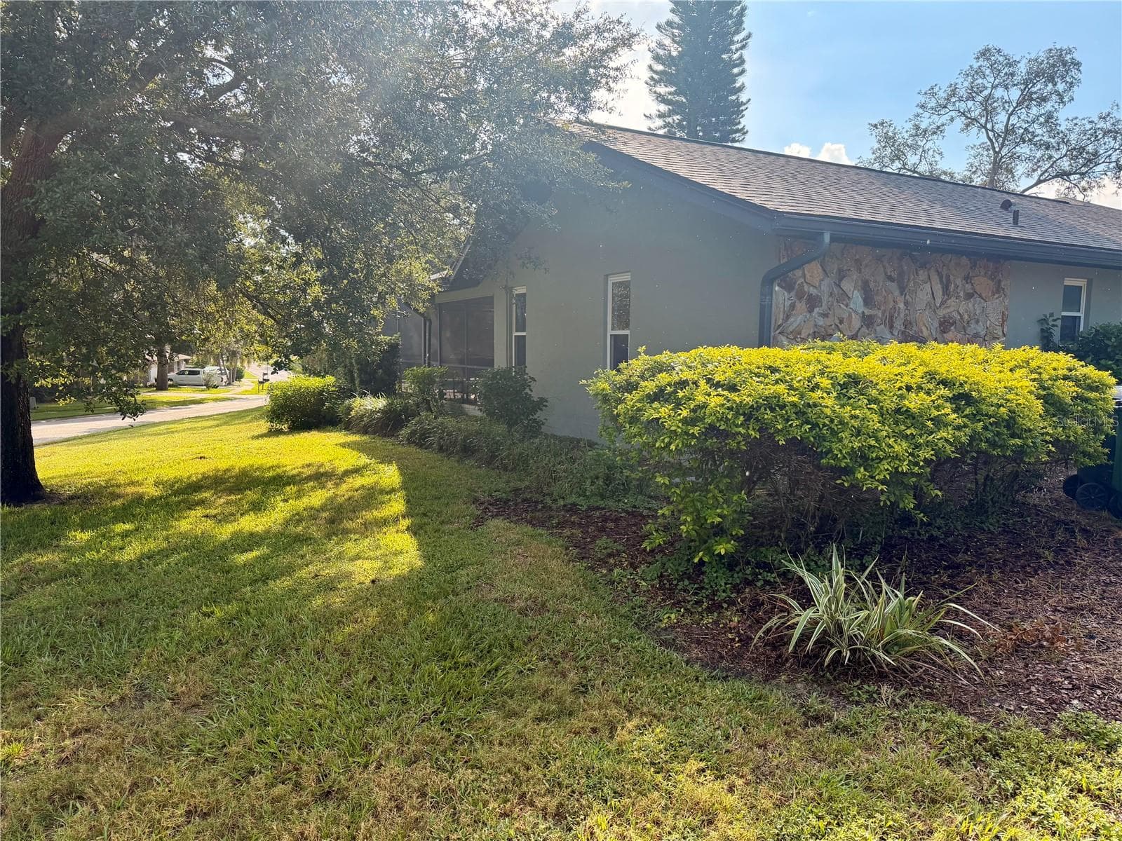 Side Yard - 3 SUMMIT LN, SAFETY HARBOR