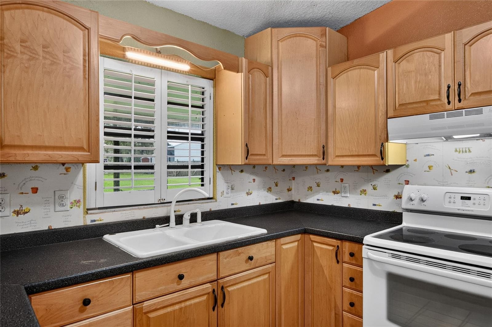 Single Family Residence at 4702 CHARRO LN, PLANT CITY, photo 13 of 53