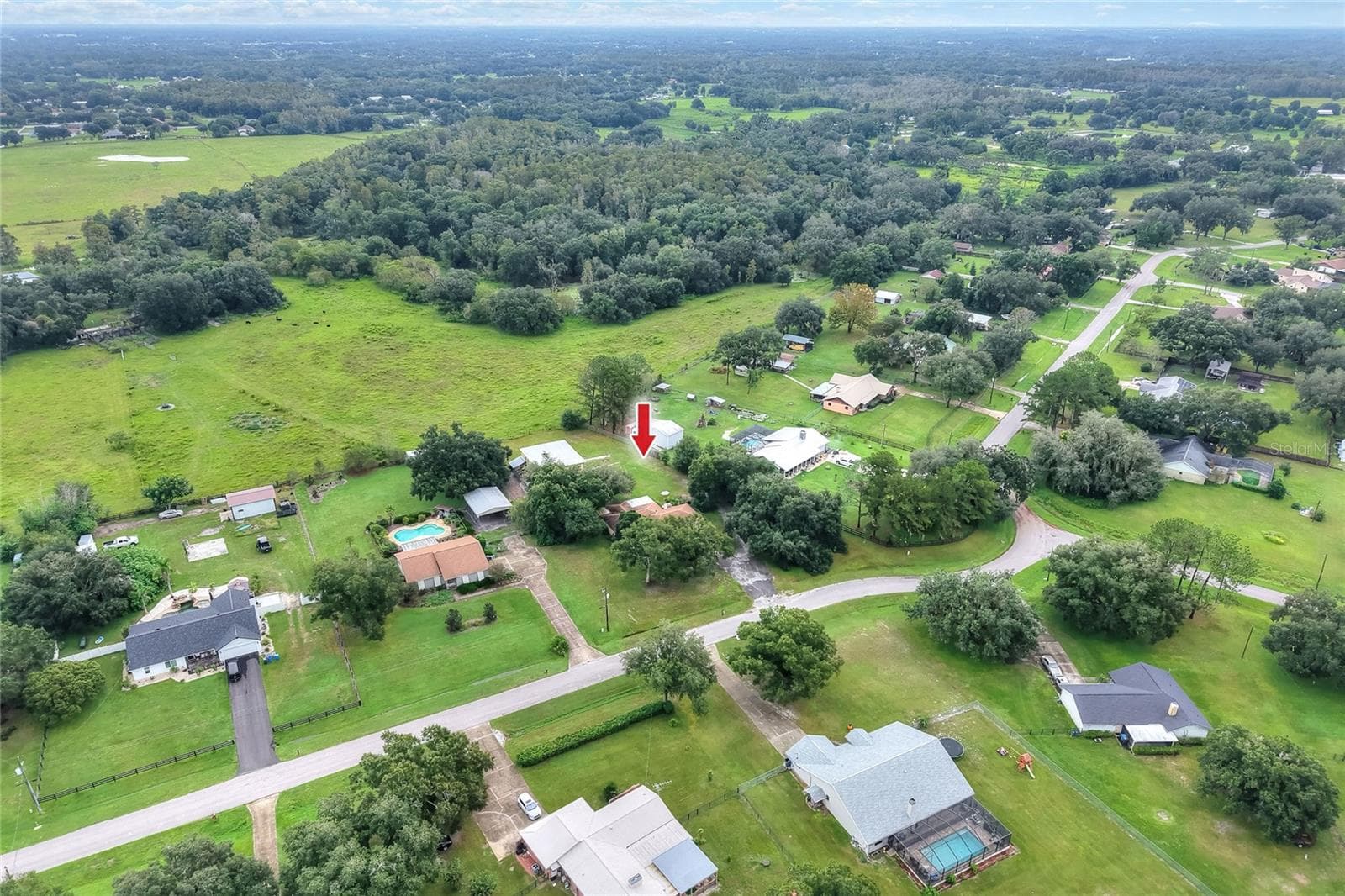 Single Family Residence at 4702 CHARRO LN, PLANT CITY, photo 52 of 53