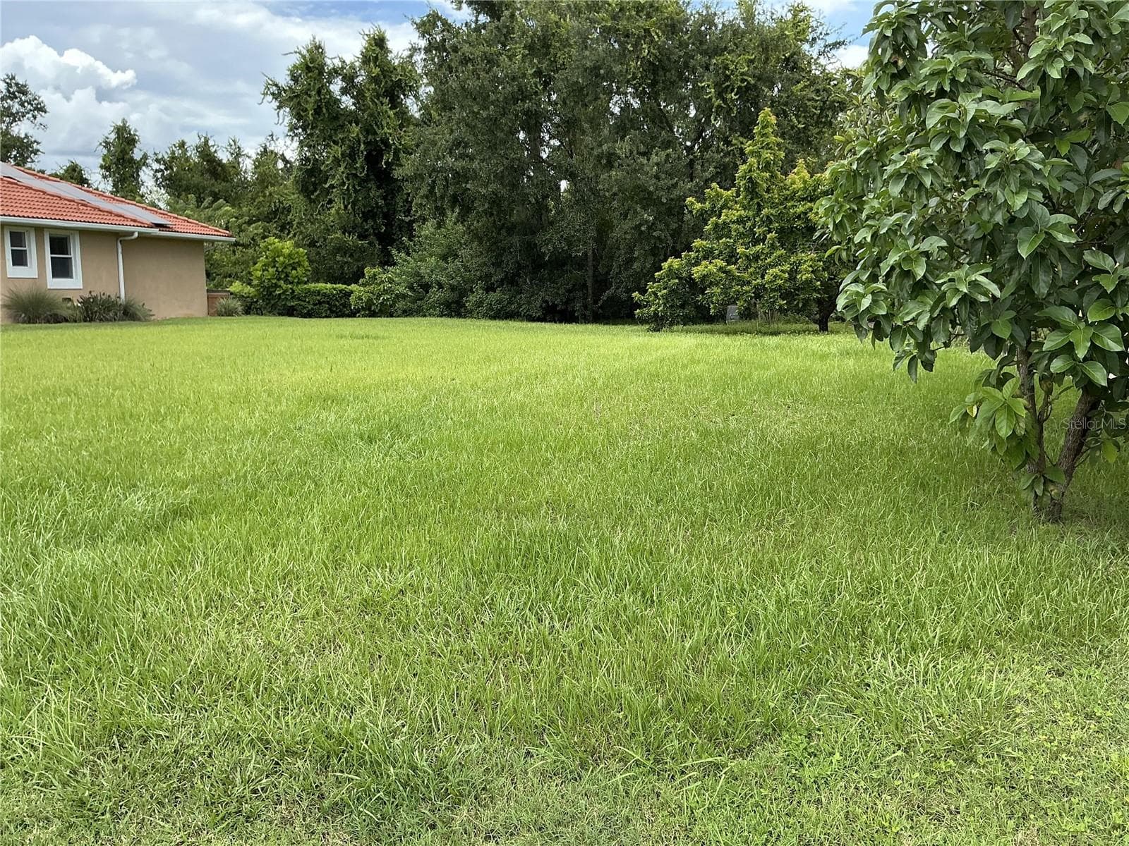 Land at 21049 LOS CABOS CT, LAND O LAKES, photo 3 of 5