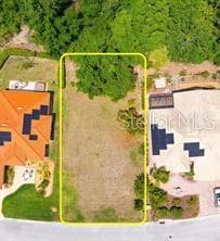75 x 120 - 21049 LOS CABOS CT, LAND O LAKES