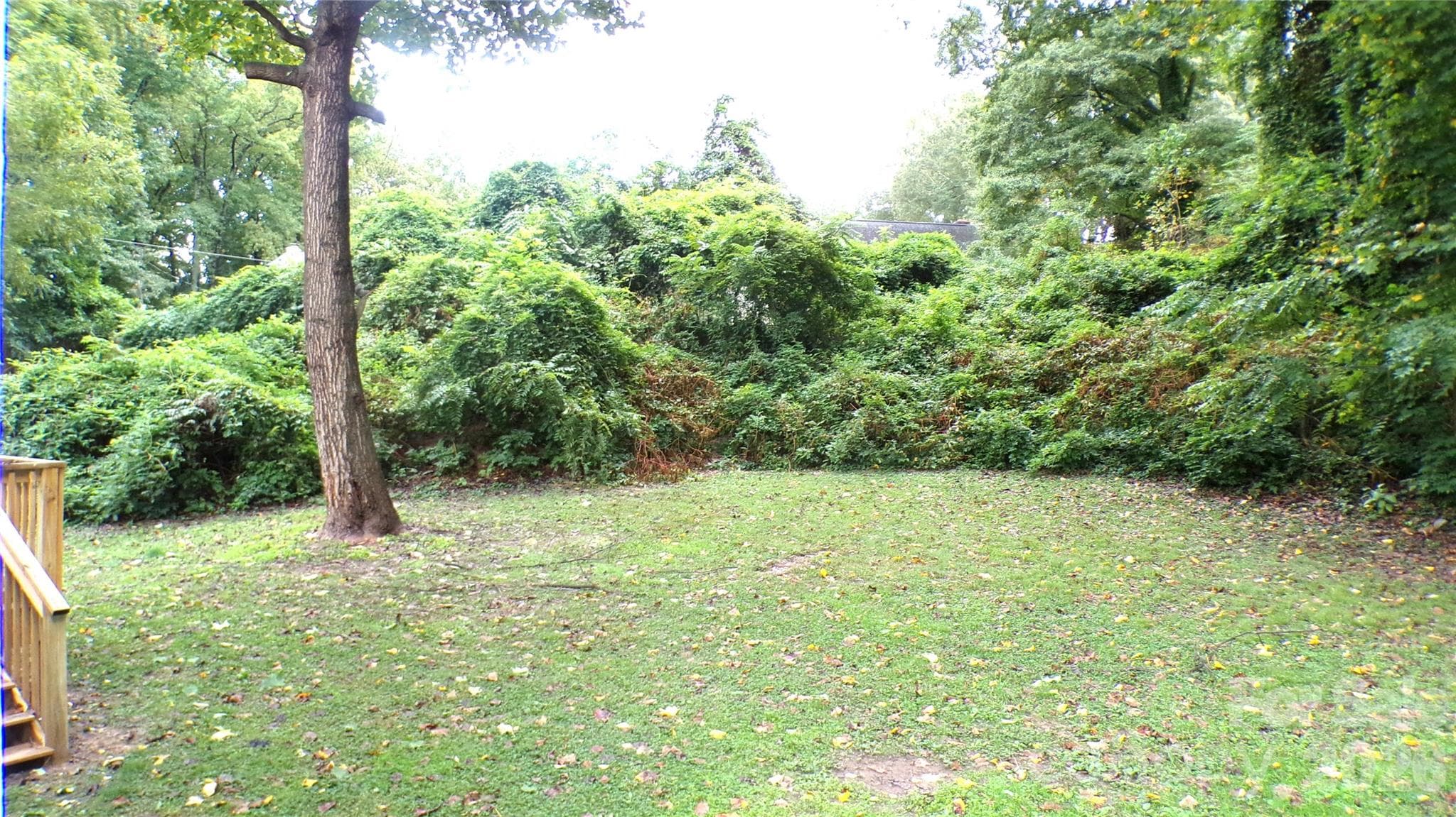 Single Family Residence at 5504 Ilford Street, Charlotte, photo 31 of 31