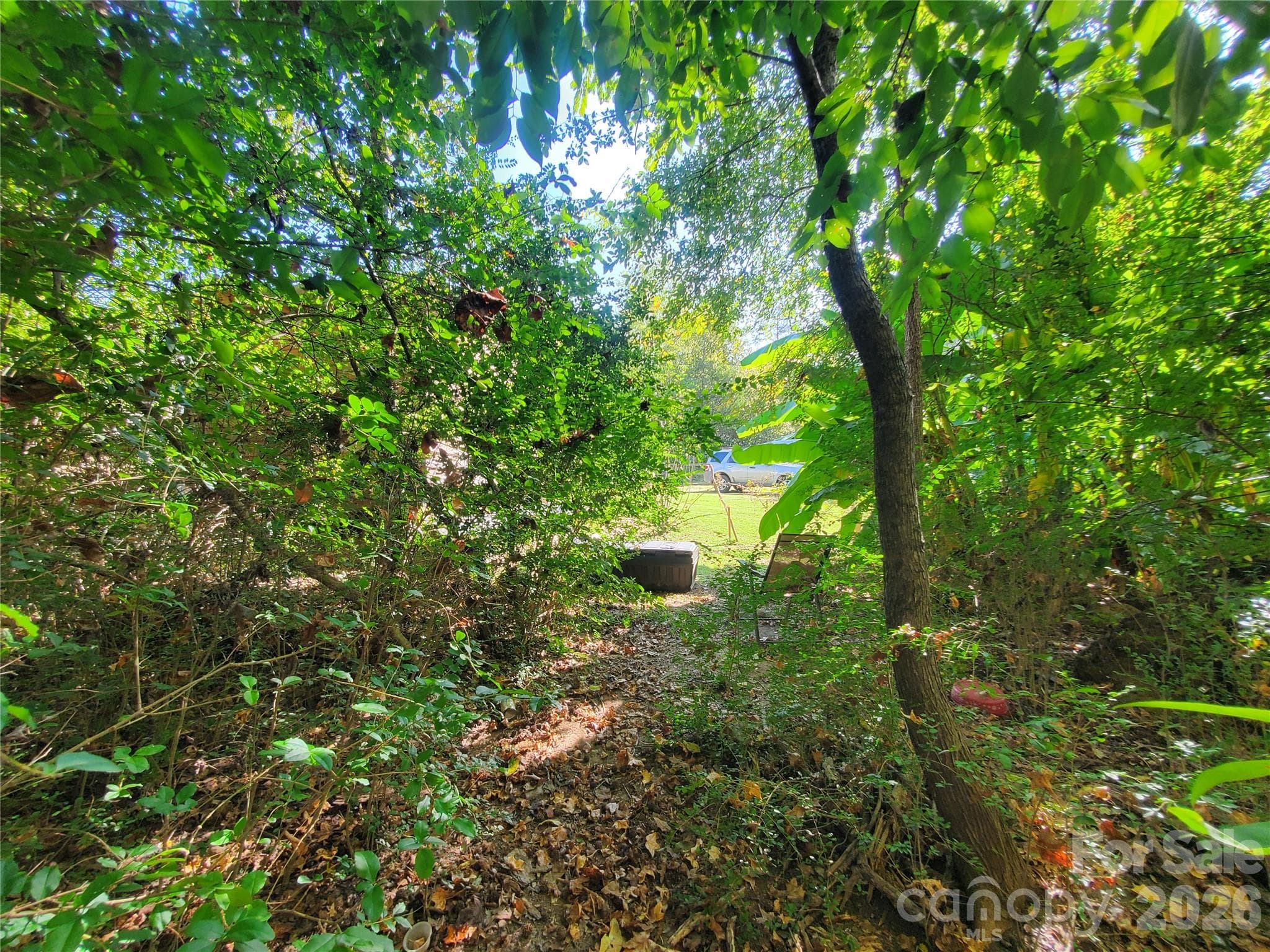 Back of the lot where the animals are - 4715 Needmore Road, Cleveland