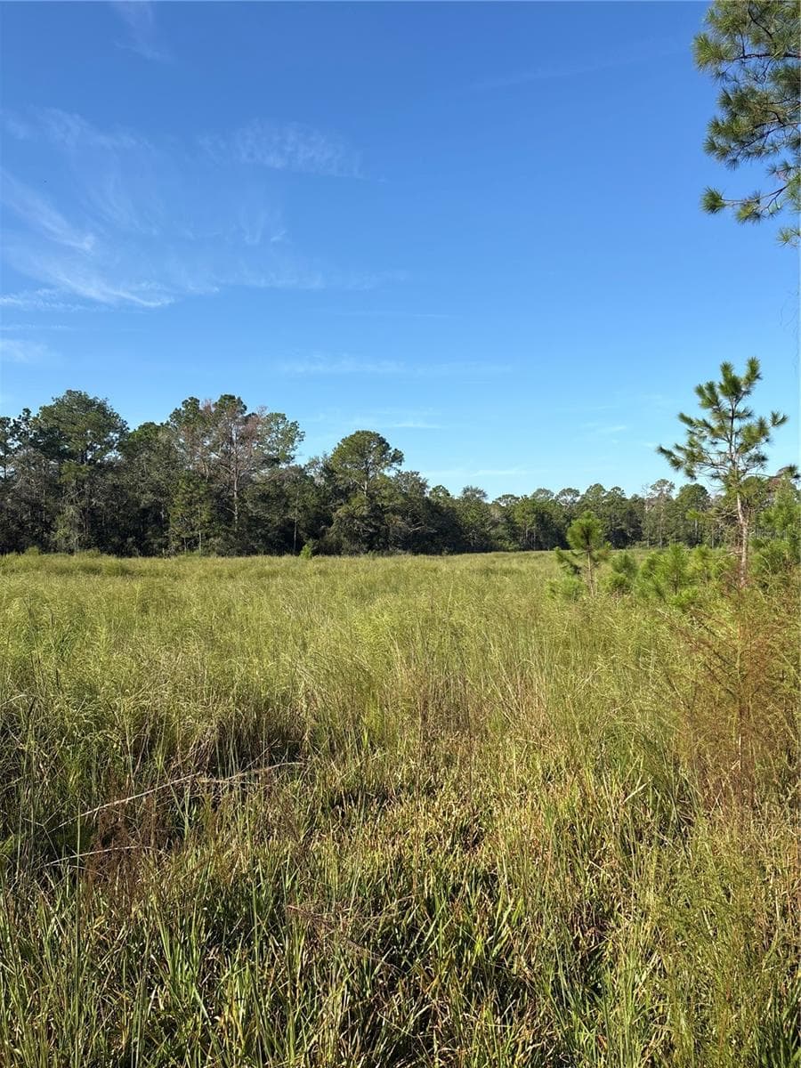Land at 123 RD LN, BRONSON, photo 5 of 5