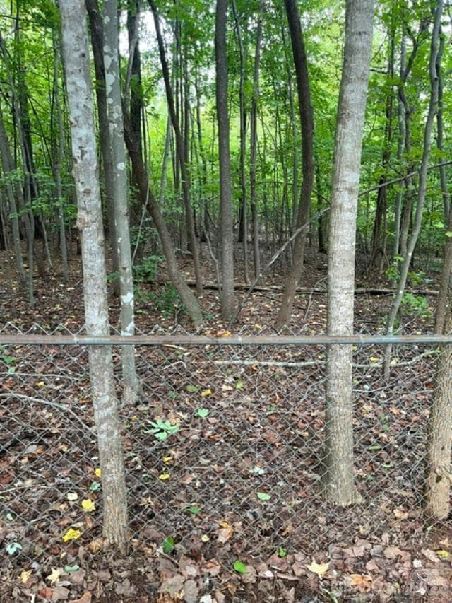 Another view of property outside of the fence approx 50 plus feet - 911 Freedom Mill None, Gastonia