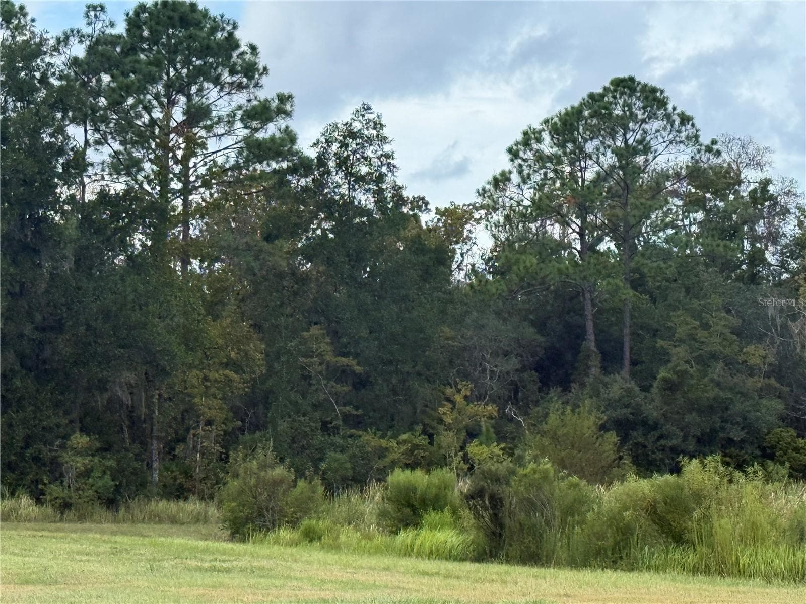 Land at 10855 W HOMOSASSA TRL, HOMOSASSA, photo 2 of 3