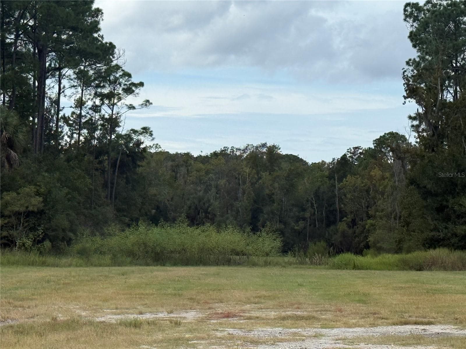 Land at 10855 W HOMOSASSA TRL, HOMOSASSA, photo 3 of 3