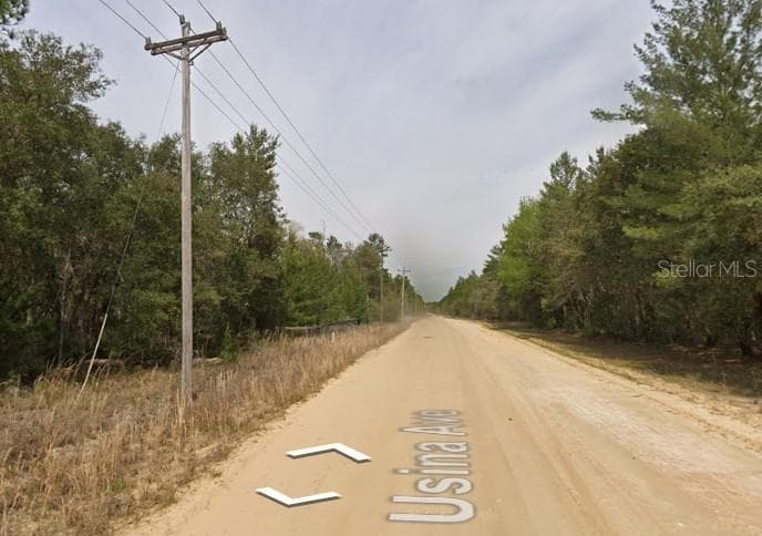 Land at USINA AVE, INTERLACHEN, photo 2 of 4