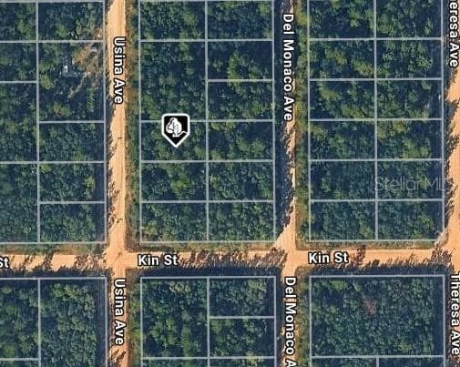 Land at USINA AVE, INTERLACHEN, photo 3 of 4