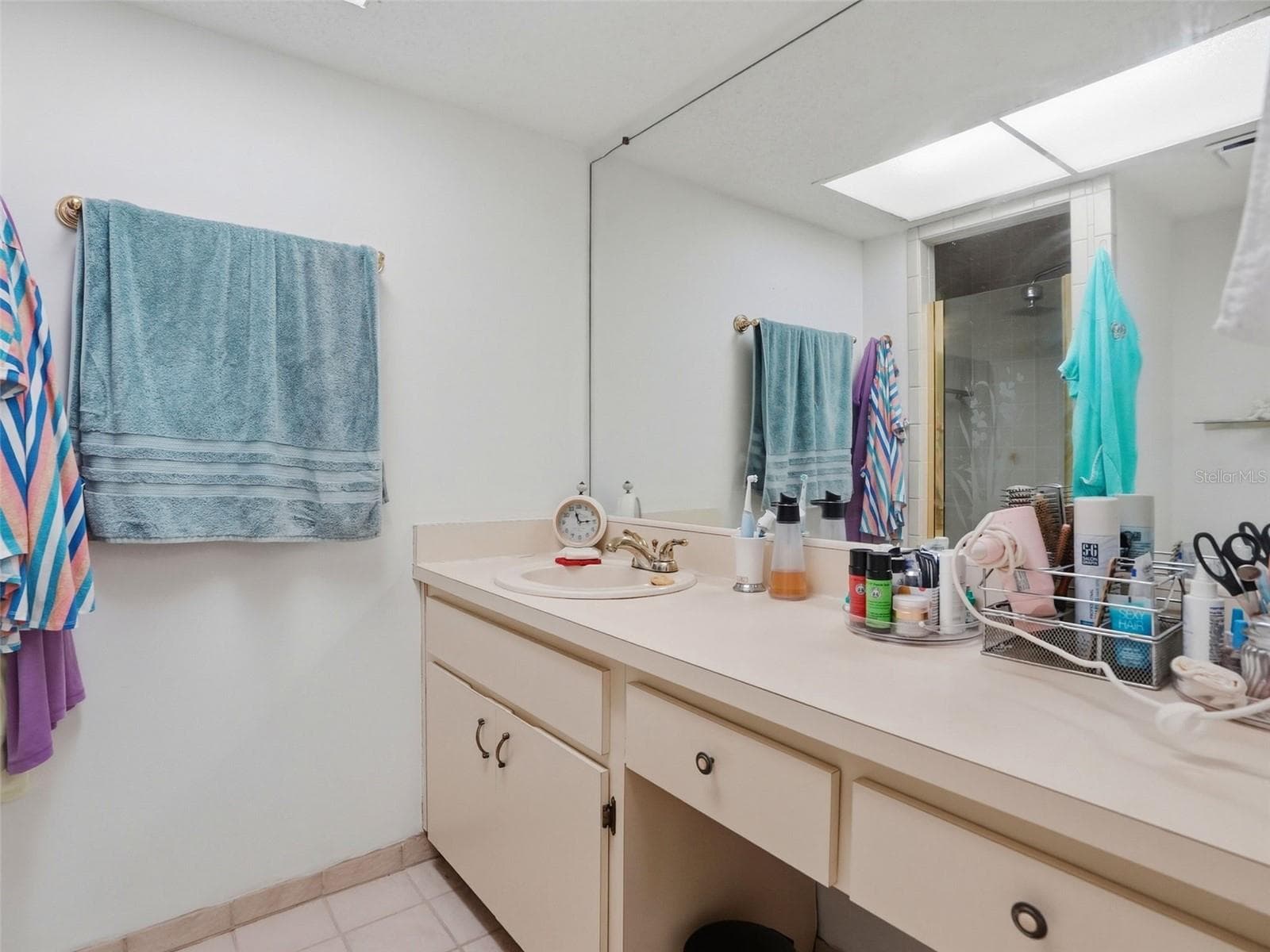 Master bath - 13507 SHADBERRY LN, HUDSON