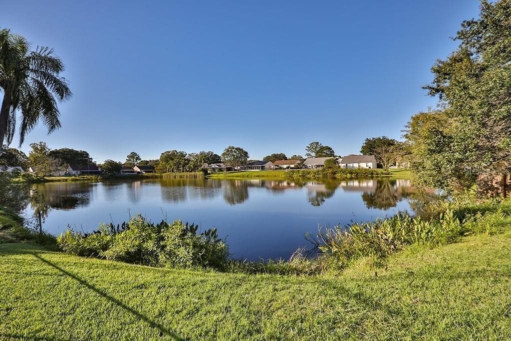 Single Family Residence at 7920 GEORGE WASHINGTON LN, TAMPA, photo 28 of 28