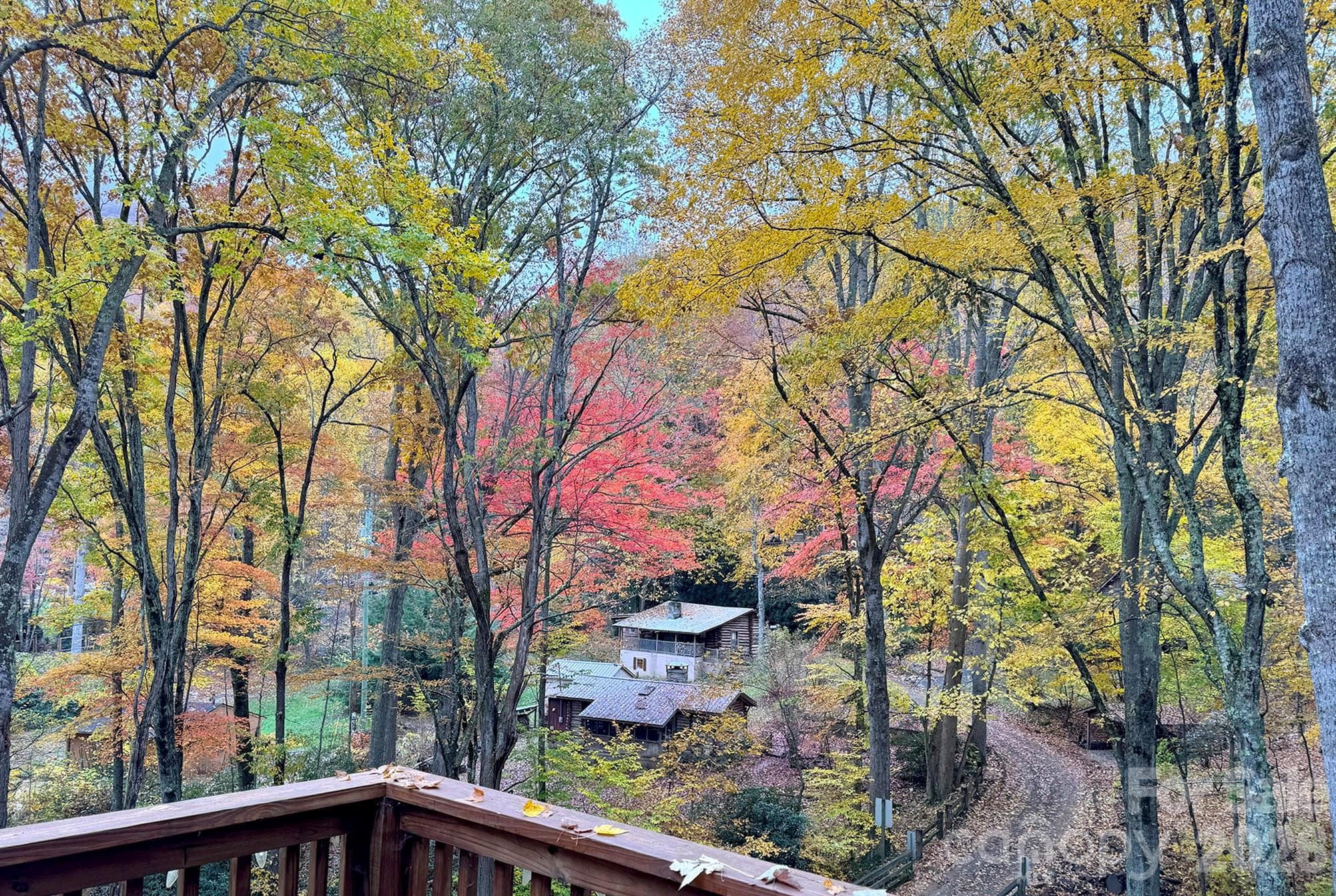 Fall views from the Cabin Deck - 500 Winter Star Road, Burnsville