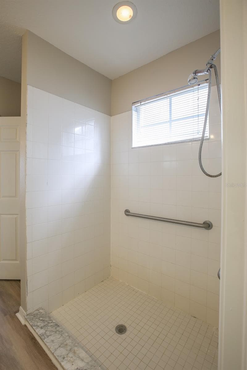 Primary Bath (en-suite) - 16244 BRIDGEWALK DR, LITHIA
