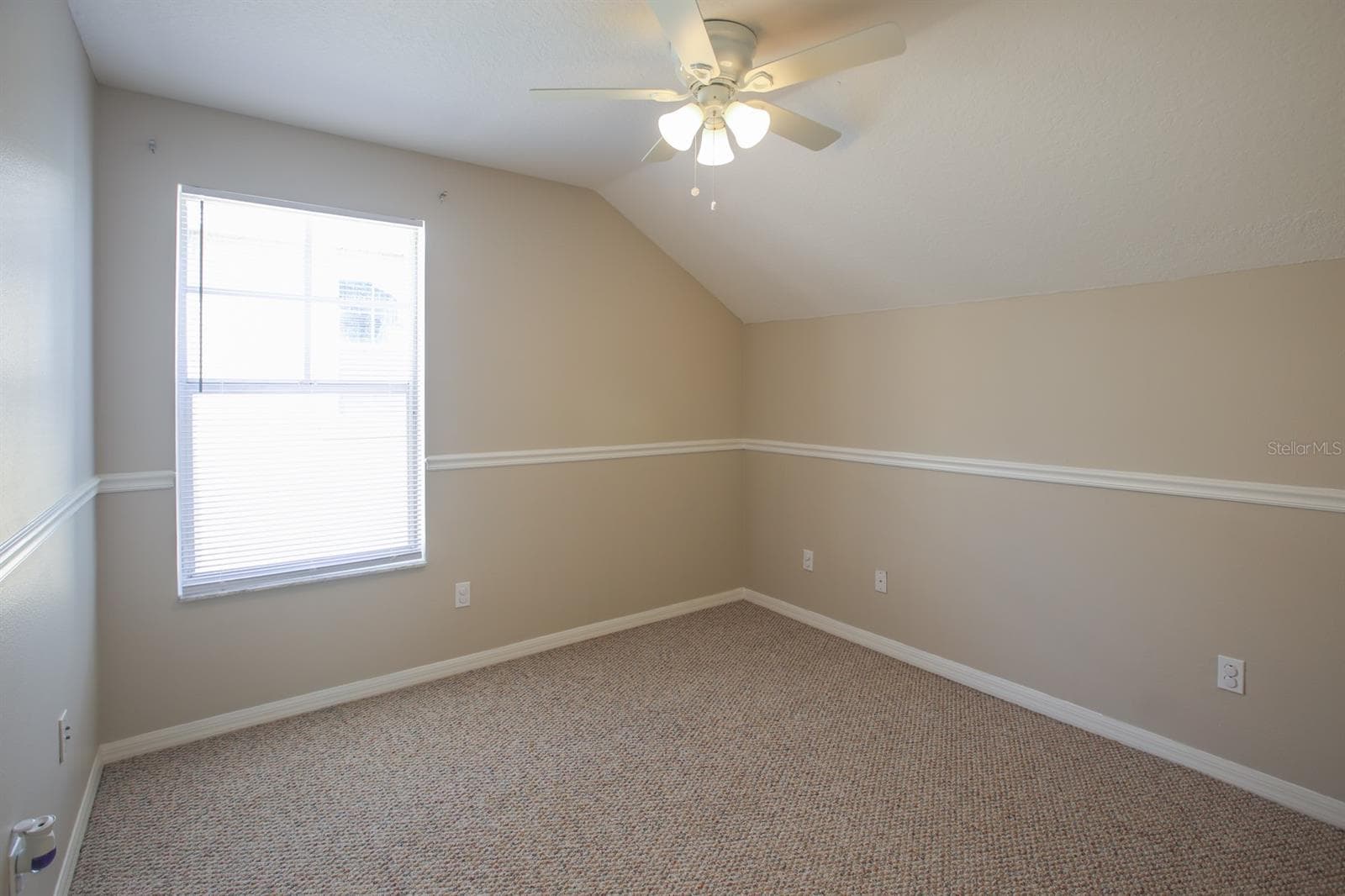 Bed #3 - 16244 BRIDGEWALK DR, LITHIA