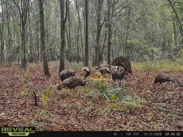 Land at 00 50TH ST, LIVE OAK, photo 5 of 62