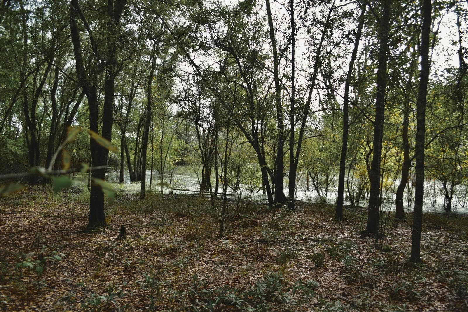 Land at 00 50TH ST, LIVE OAK, photo 13 of 62